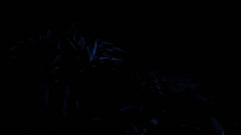 《怪物猎人：荒野》PV7视频截图7