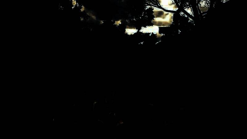 《鬼武者：剑之道》视频截图1