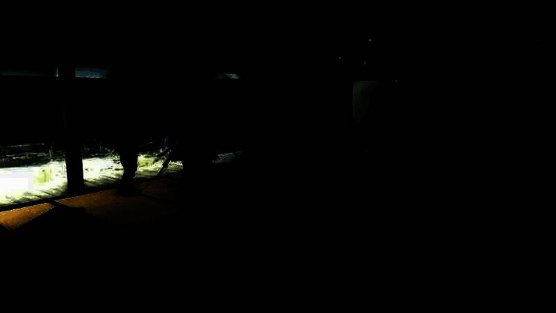 《鬼武者：剑之道》视频截图3