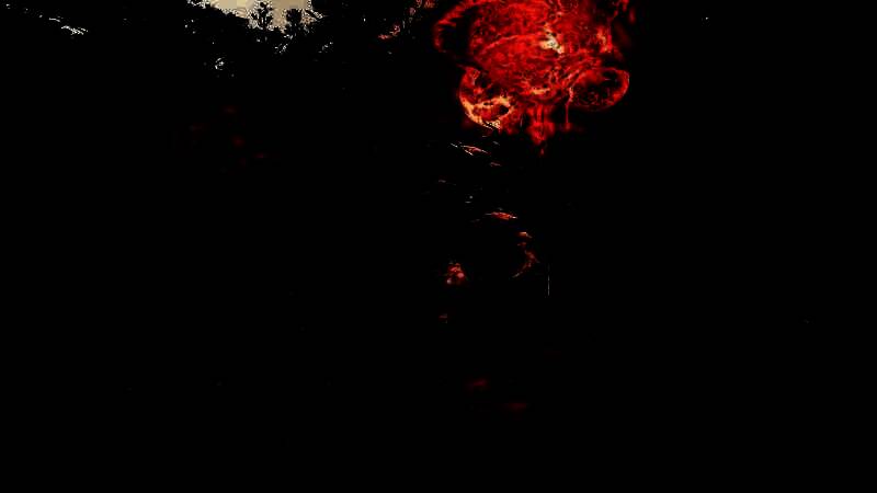 《鬼武者：剑之道》视频截图5