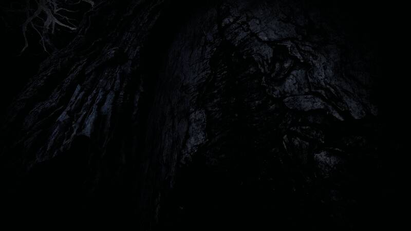 《艾尔登法环：黑夜君临》视频画面6