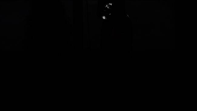 《天国：拯救2》游戏画面相关图片1