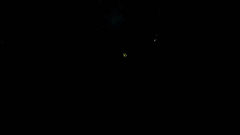 《龙裔：被放逐者》游戏截图3