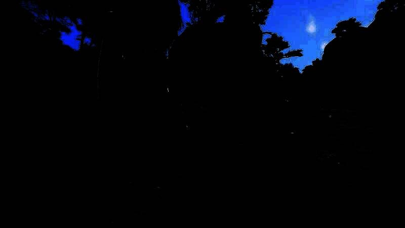 捷克网站相关报道截图