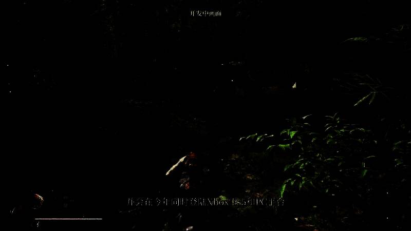 《明末：渊虚之羽》视频截图7