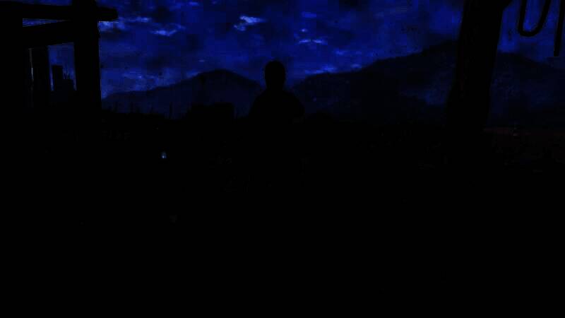 《消逝的光芒2》视频截图画面