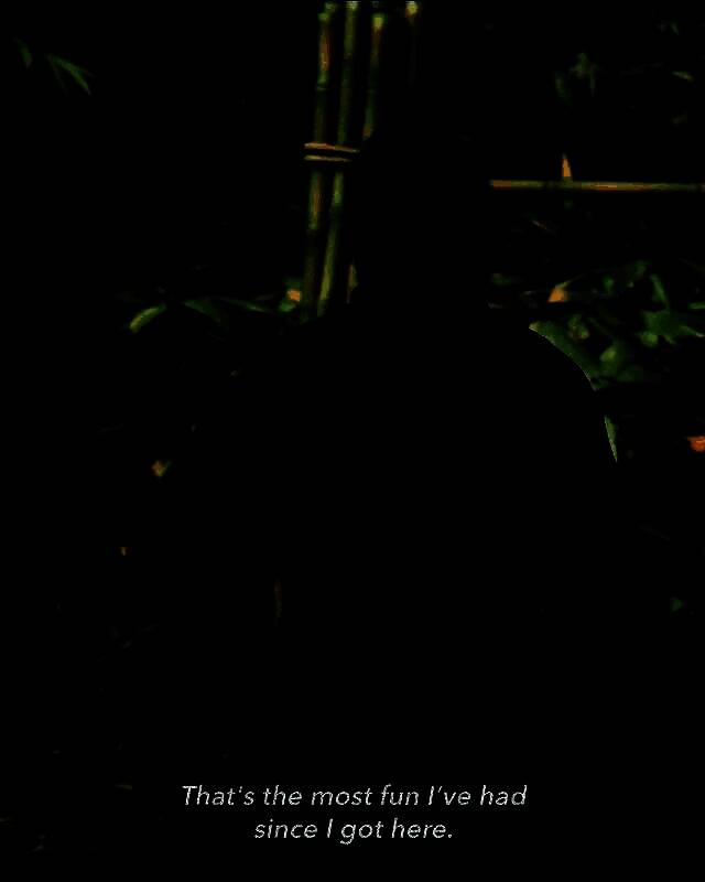 《刺客信条：影》视频画面