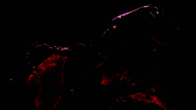 游戏主创相关画面