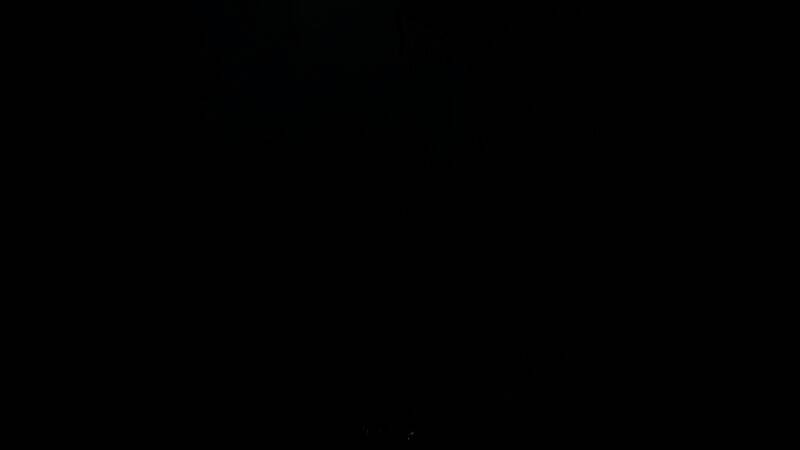 《怪物猎人：荒野》游戏截图1