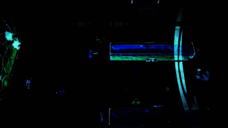 《Gnaughty Gnomes》游戏截图1