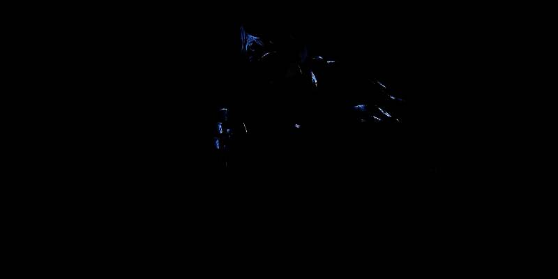 《忍者龙剑传4》相关宣传图片1