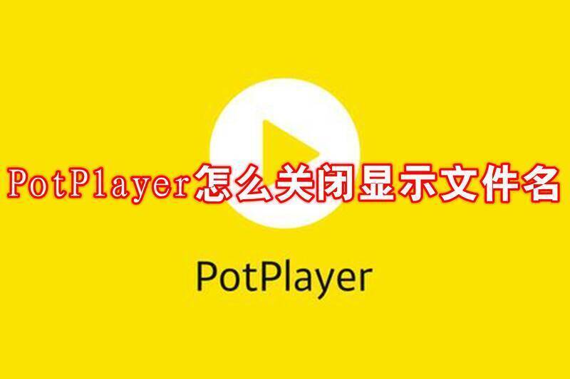 PotPlayer相关界面图片
