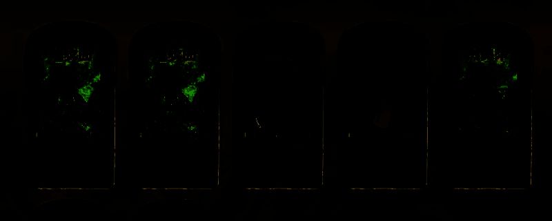 苏丹的游戏相关图片