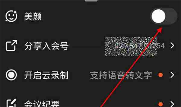 开启钉钉视频会议美颜效果图片