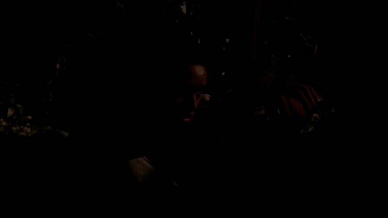 《神鬼寓言4》相关画面3