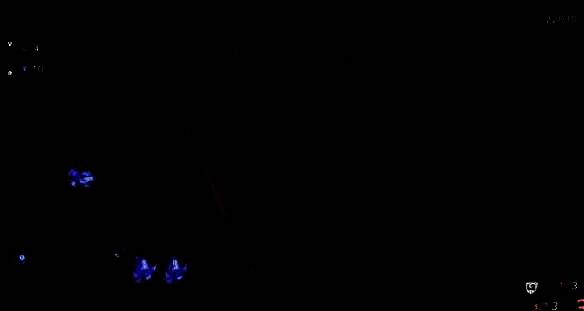 时之晶收集画面