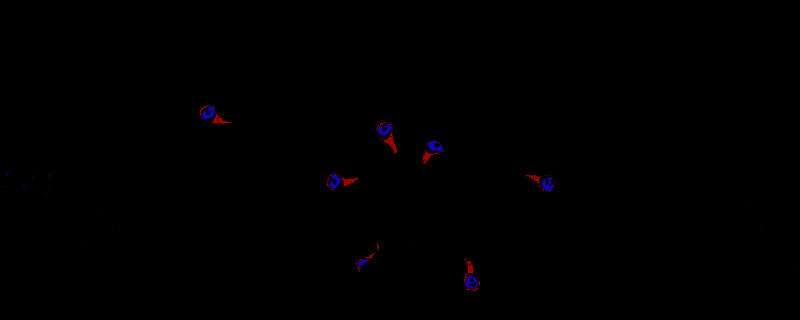 《游牧闲置》游戏画面