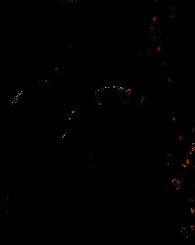 《刺客信条：影》相关画面截图