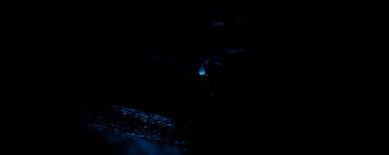 Sword of the Sea游戏相关图片1