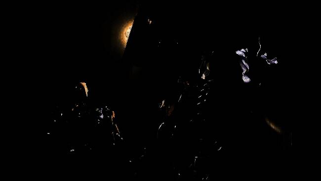 《耻辱2》相关图片1