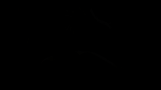 《圣歌德嘉的挽歌》相关图片6