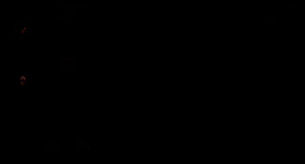 《圣歌德嘉的挽歌》相关图片7