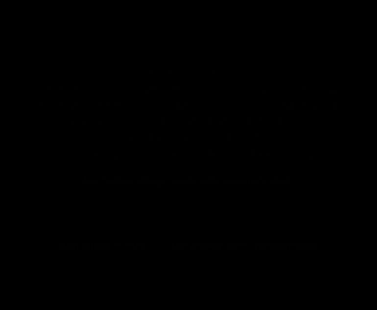 《圣歌德嘉的挽歌》相关图片15