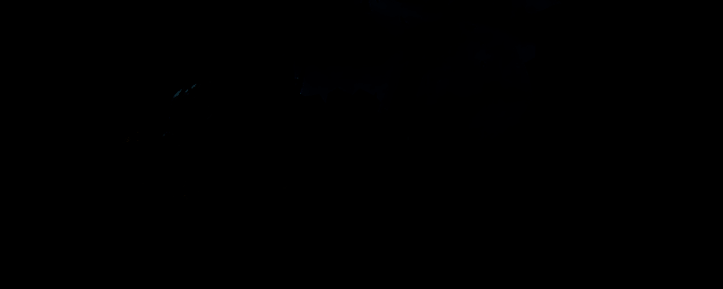 The Duskbloods相关画面