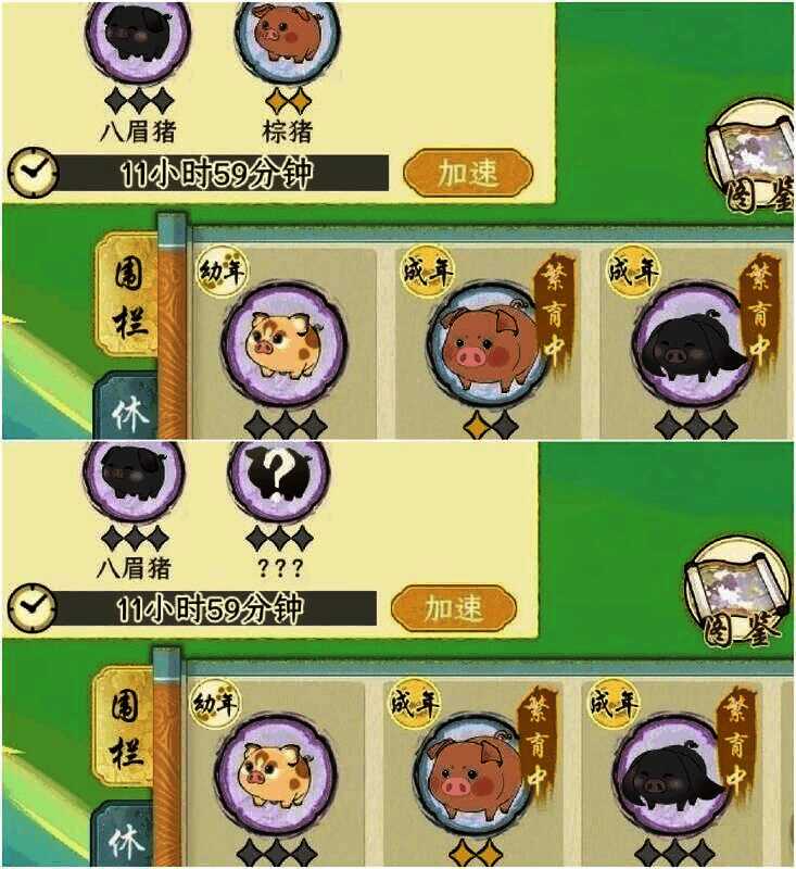 《华夏千秋》相关图片4