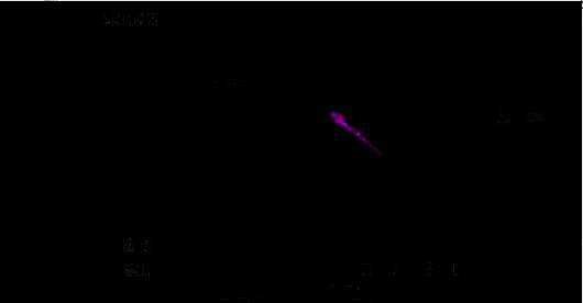 PR 软件导出设置格式界面