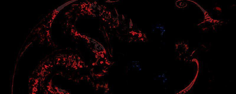 《苏丹的游戏》阿迪莱屠龙线相关图片1