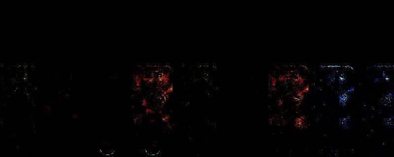 《苏丹的游戏》相关图片