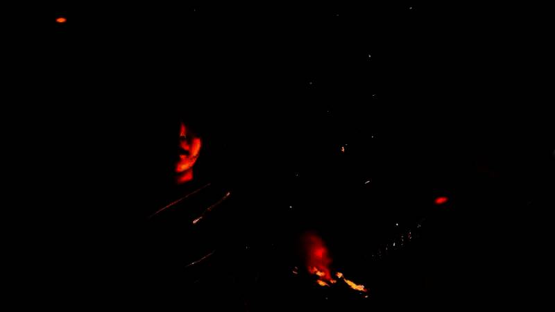 《刺客信条：影》全新截图2