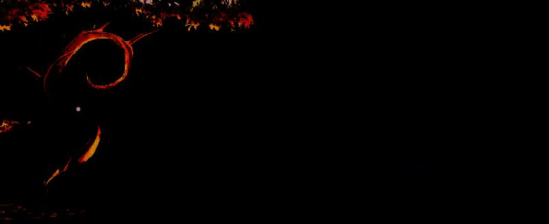 从瓦格瓦格树右侧走穿过大门的场景图