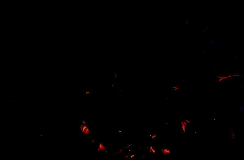 剑灵2灵教院咒术师相关图片3