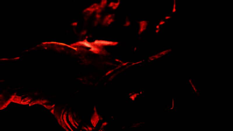 《影之刃零》丝线操纵战斗图片