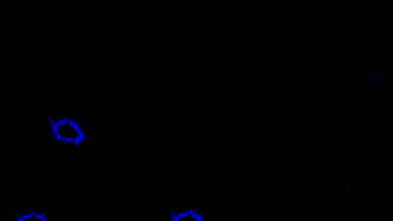 《清算》游戏画面相关图片2