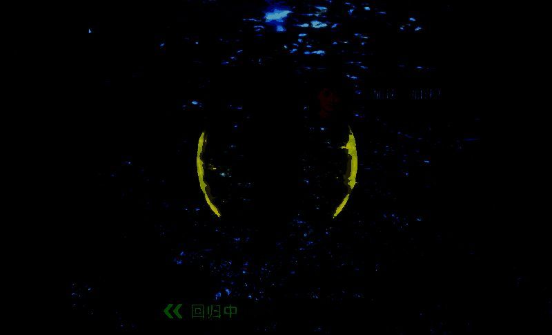 尼德兰贸易相关画面