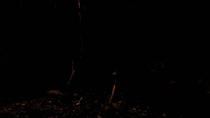 《Bushcraft Simulator》游戏特点展示图3