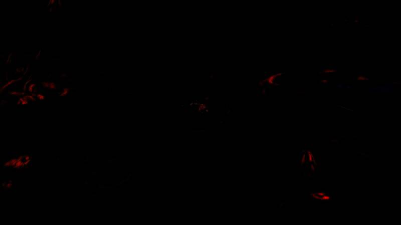 《Ragnar》游戏截图1