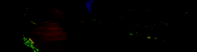 探索古代世界遗迹画面