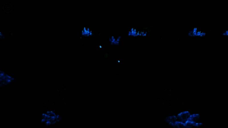 星之仪式：重制版游戏画面3