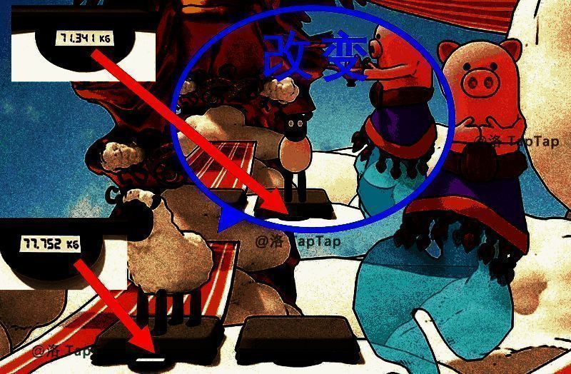 羊在秤上的体重图片