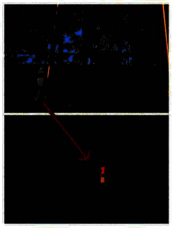 在河边用泳圈救小袋鼠的画面