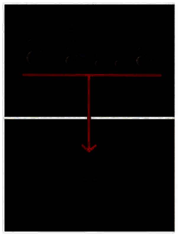 用弹弓打鸟得飞盘的画面