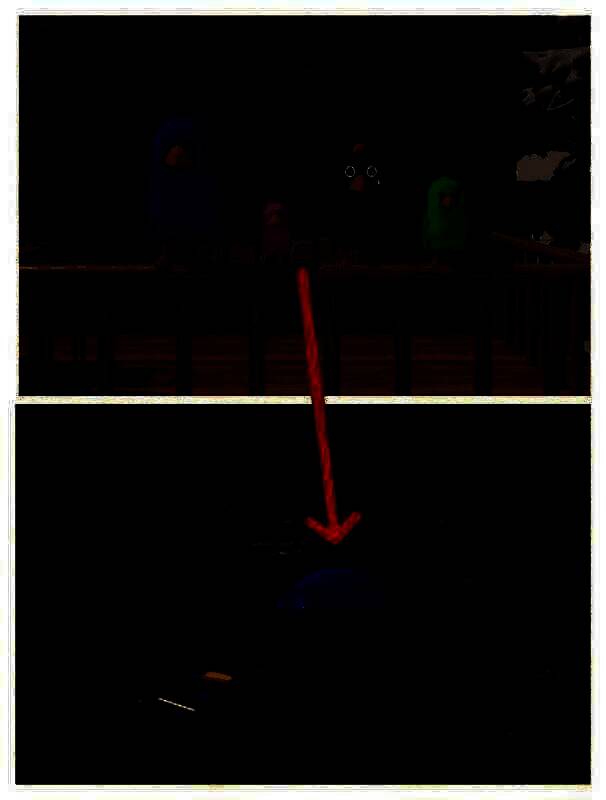 用铁锹挖土堆得戒指的画面