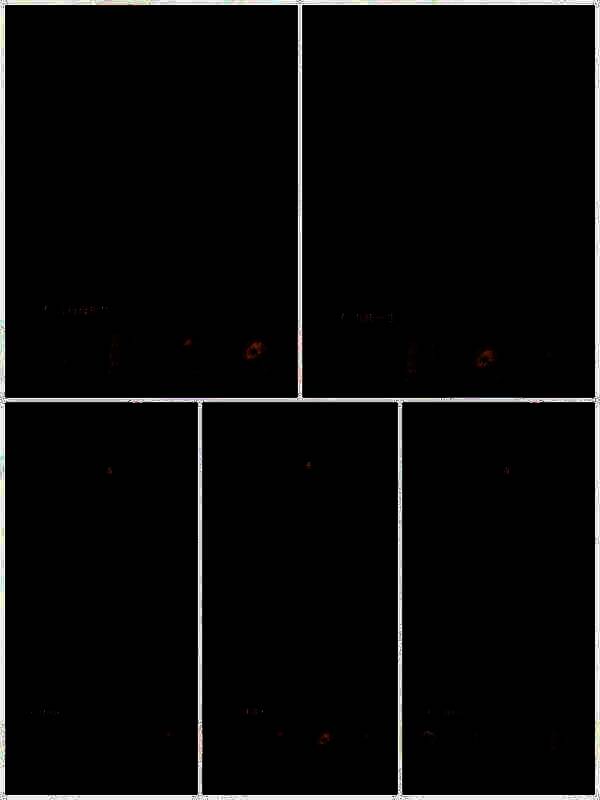 放入药材的柜子