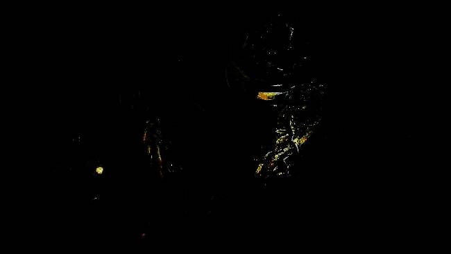 《血源诅咒》相关画面