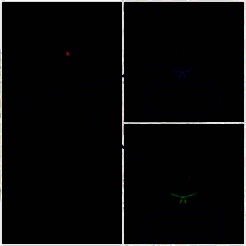 石狮子标记颜色及眼睛状态 2