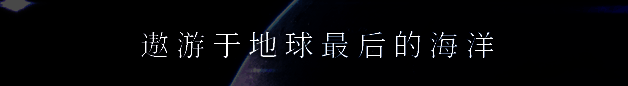 《冰海孤翼》游戏画面示例2